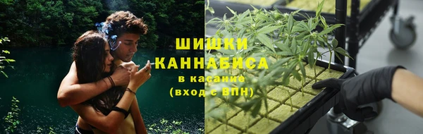 прущие крисы Гусь-Хрустальный