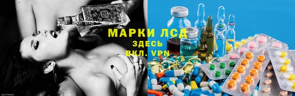apvp Гусиноозёрск