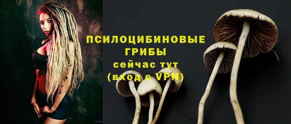 jwh Гусев