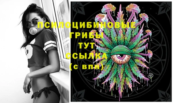 jwh Гусев