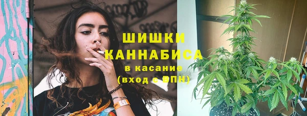 прущие крисы Гусь-Хрустальный