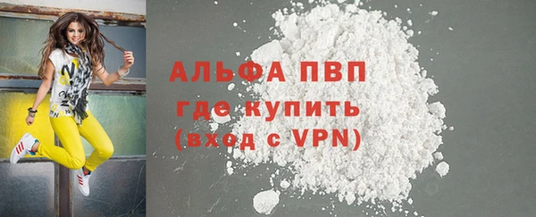apvp Гусиноозёрск
