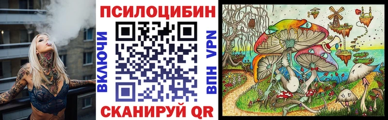 Купить  Серафимович  Псилоцибиновые грибы GOLDEN TEACHER 