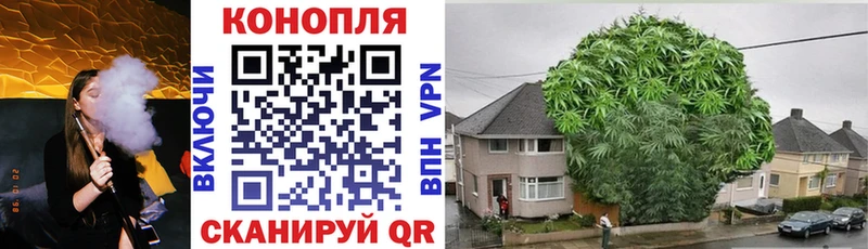 Купить закладки  Серафимович  МАРИХУАНА планчик 